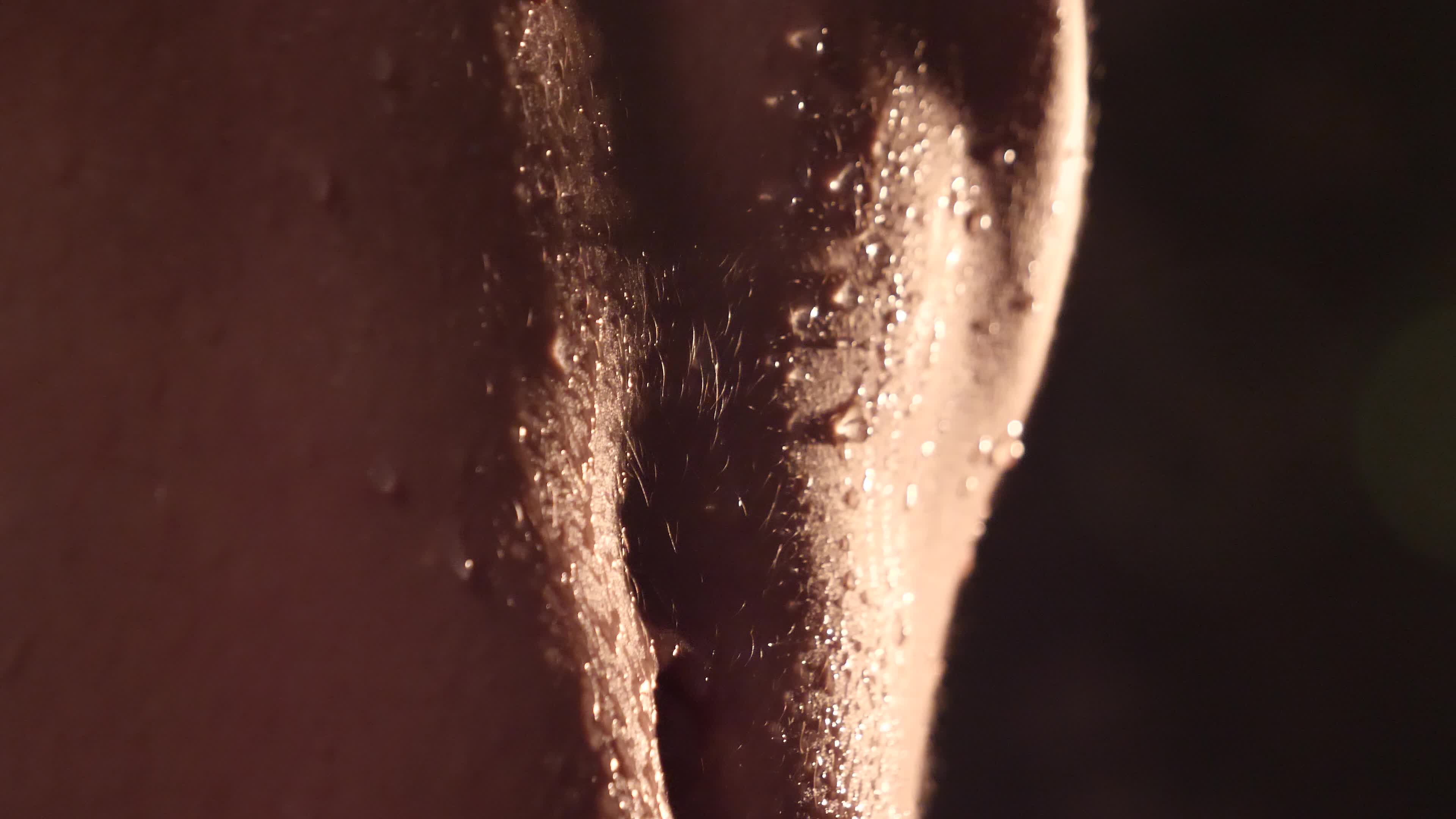 Image 6 of Kottyaaaa, female webcam model, 18 years old, on live webcam