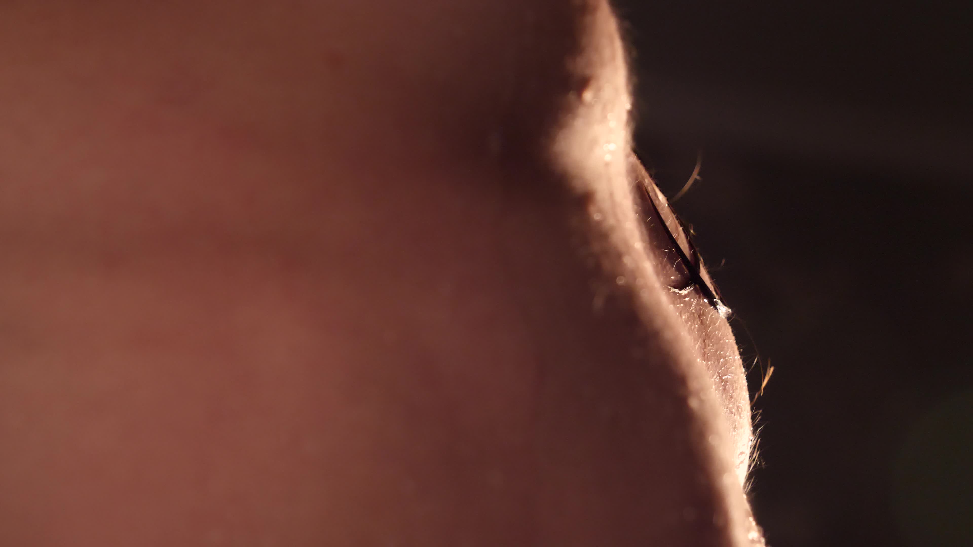 Image 7 of Kottyaaaa, female webcam model, 18 years old, on live webcam