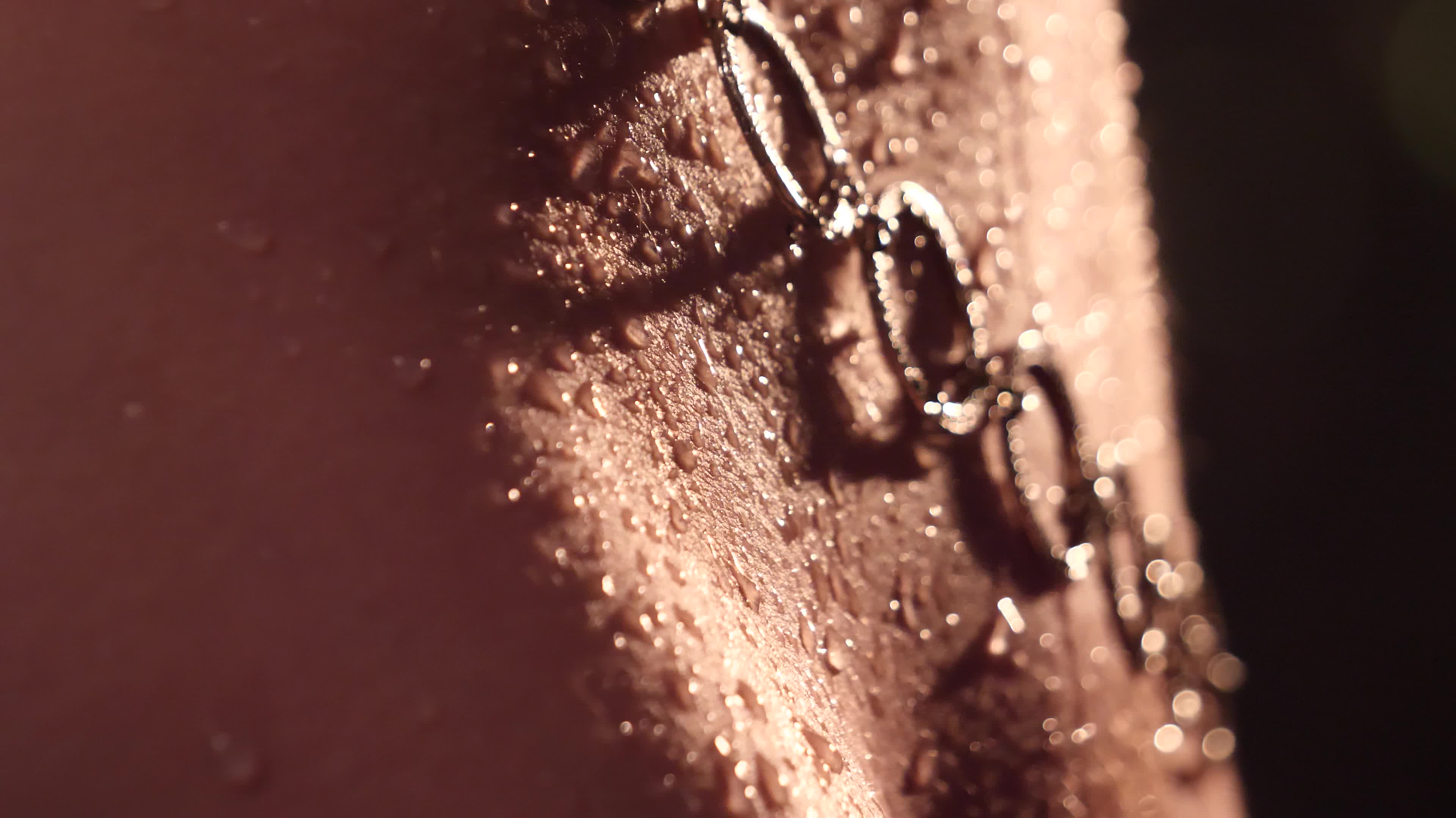 Image 9 of Kottyaaaa, female webcam model, 18 years old, on live webcam