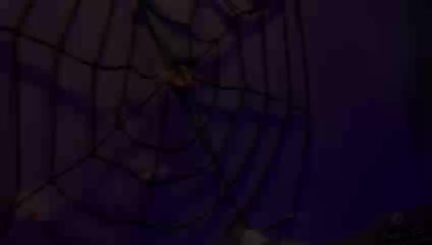 A bit of Halloween 2022 &mdash; clip by ZoePresley1