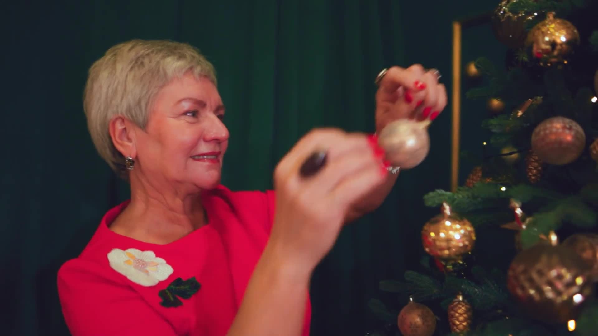 Christmas evening &mdash; clip by roxana-brooks
