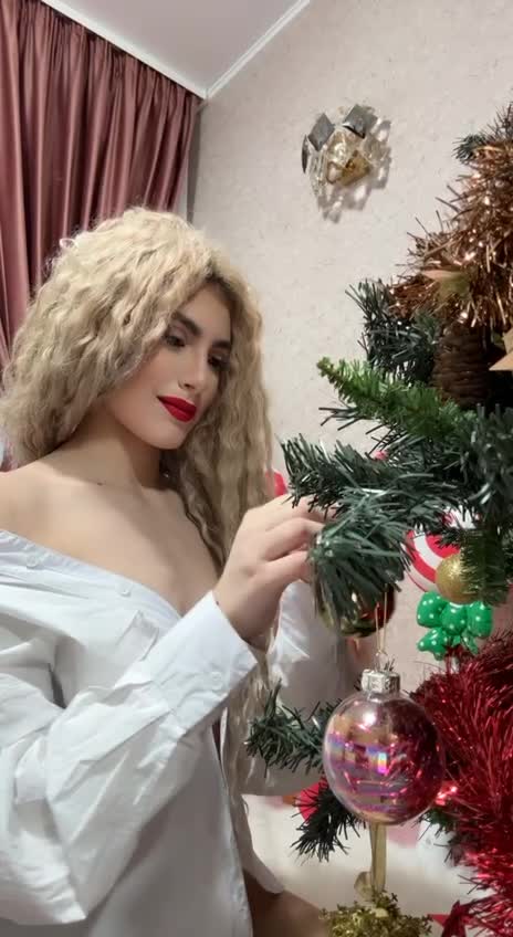 Getting the Christmas Tree ready &mdash; clip by SweetAnisia