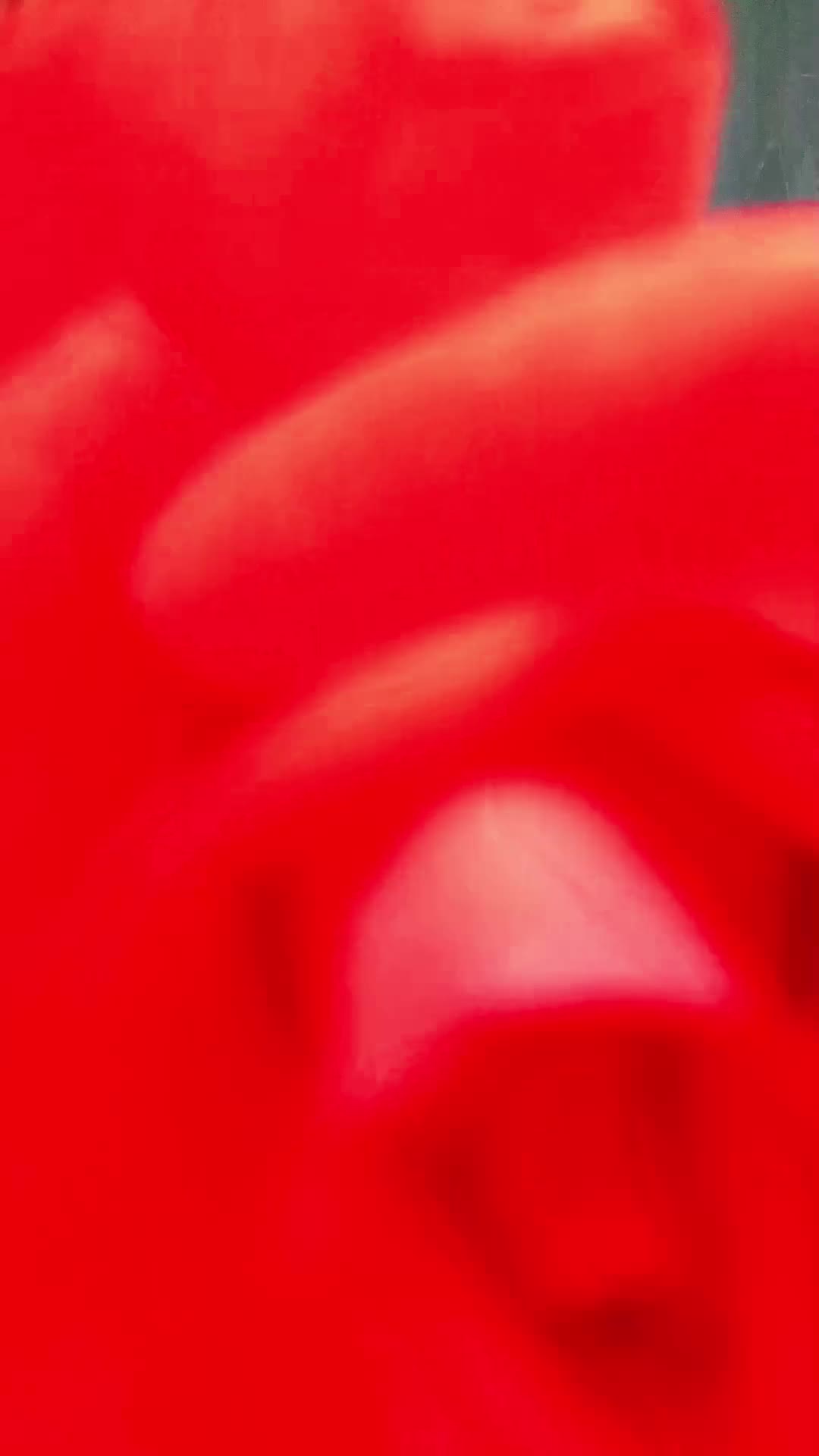 Red Rose &mdash; clip by StarKristy
