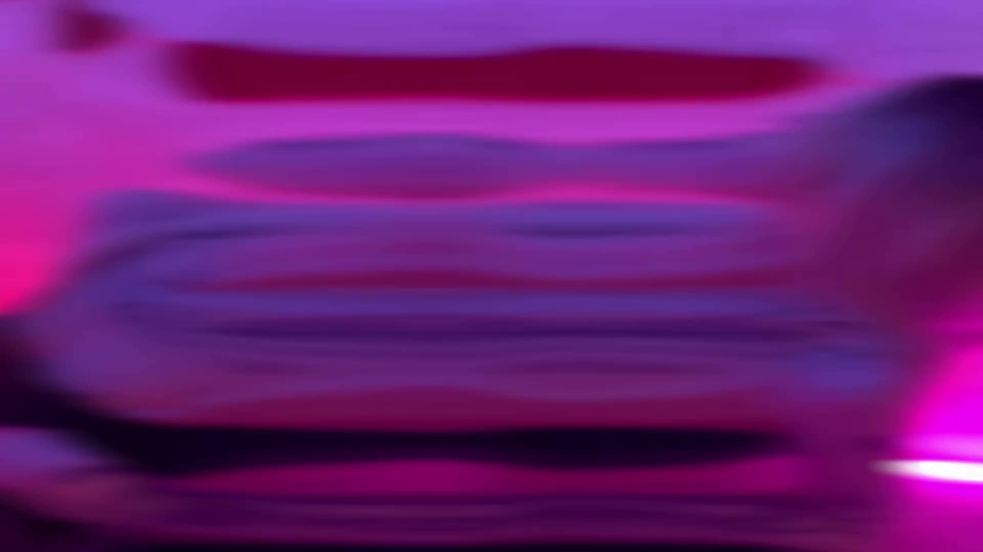 vanslly Gallery Image 8