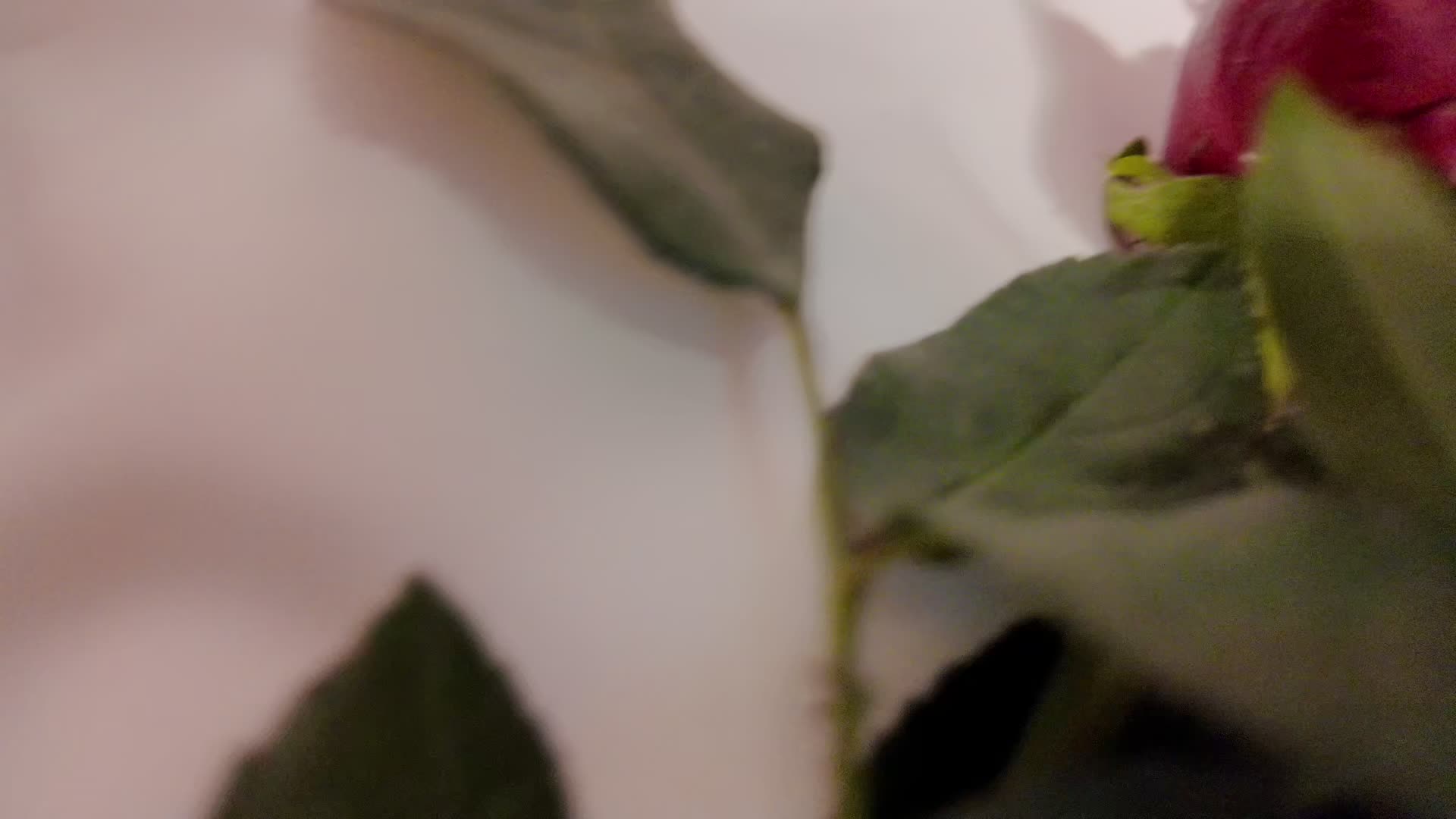 Image 10 of GeminisClark, female webcam model, 30 years old, on live webcam