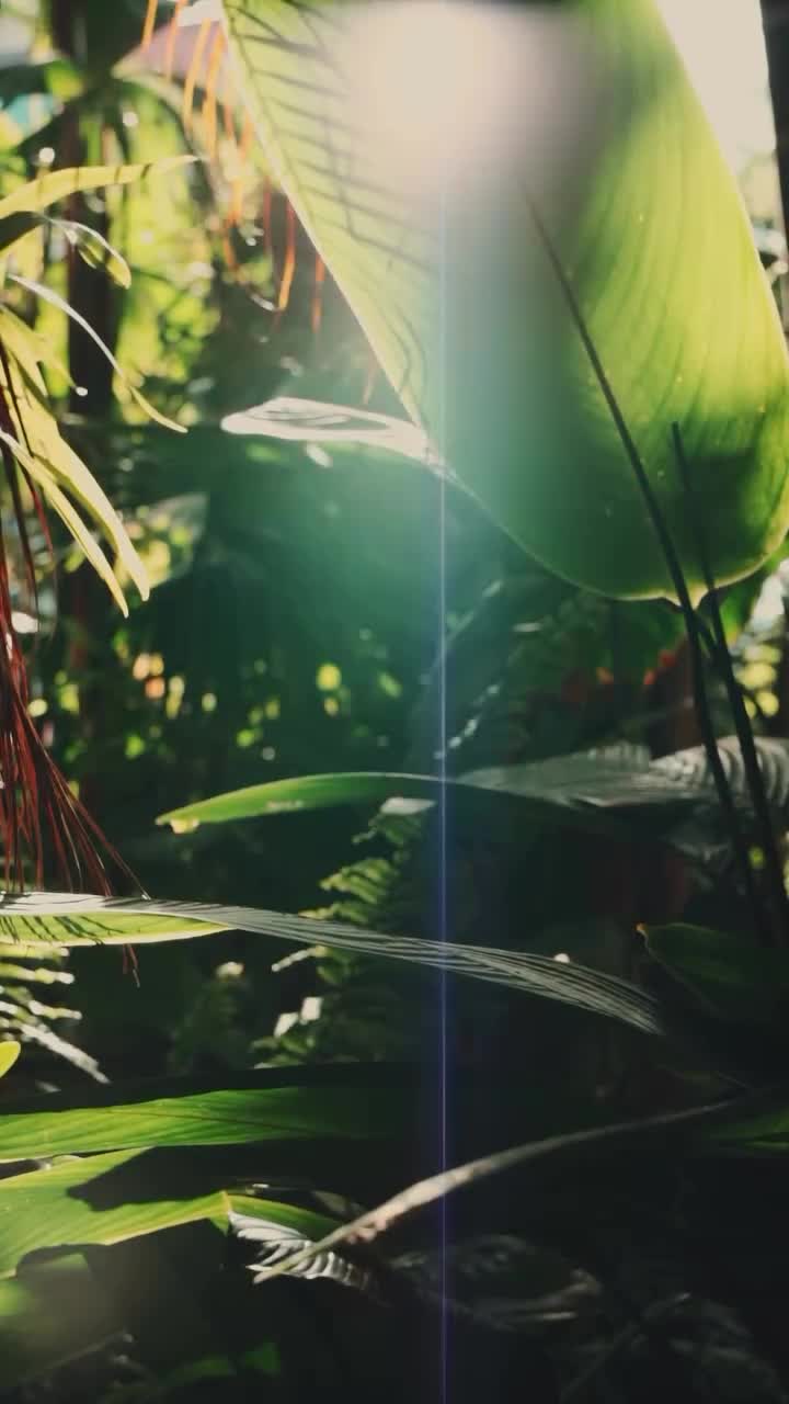Elegance &mdash; clip by kimhilton-
