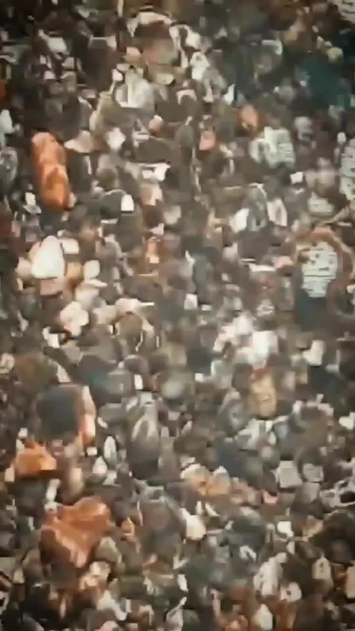 on the beach &mdash; clip by Alice69Sochi