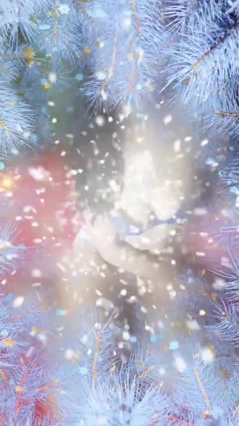 LIYXS Gallery Image 10