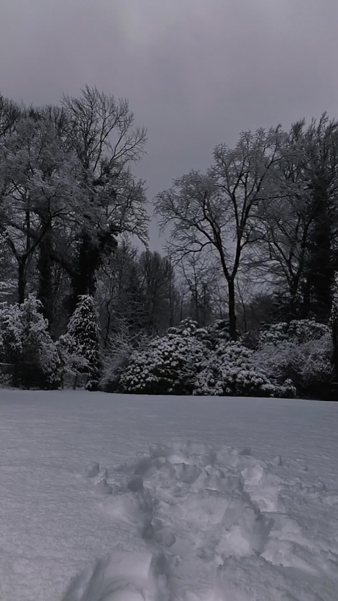 AureliaHoman Gallery Image 62