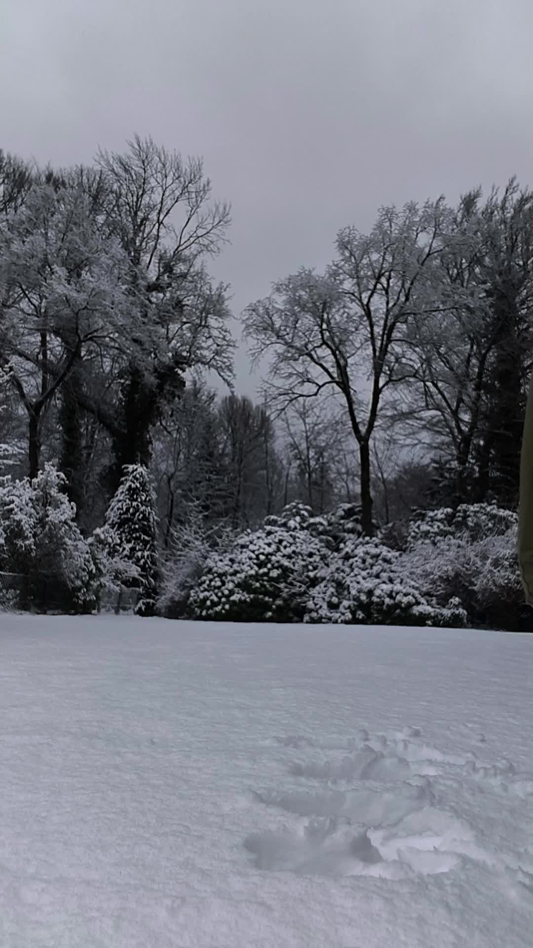 AureliaHoman Gallery Image 92