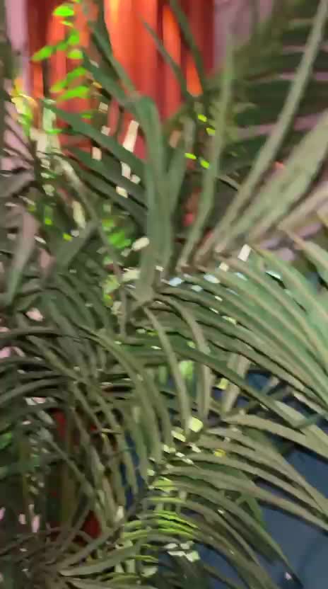 Paris-rivas Gallery Image 2