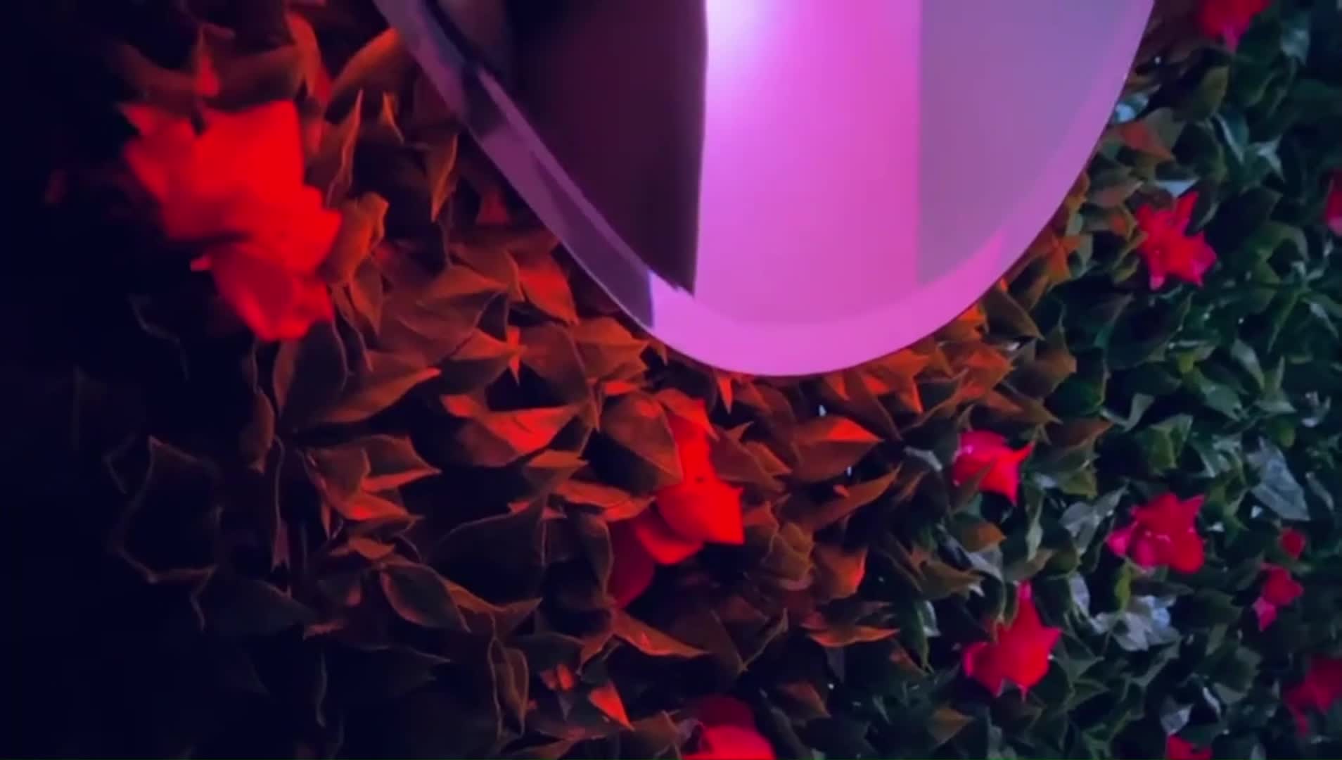 welcome honeyyyyyy..... &mdash; clip by DulceMiiaa