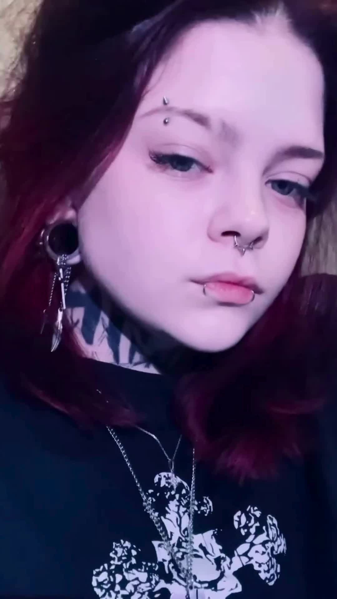 TawnySheffer Gallery Image 2